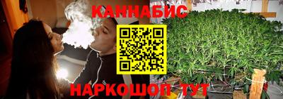 дмт Камышлов