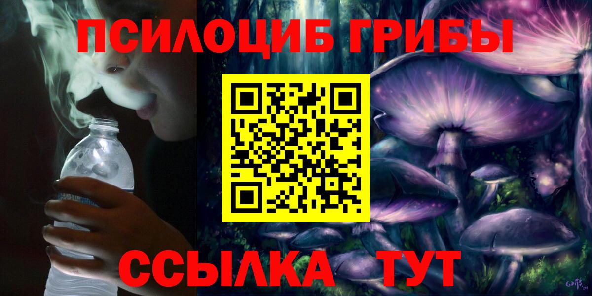 Тимашёвск  Галлюциногенные грибы Psilocybine cubensis  Вход с VPN 